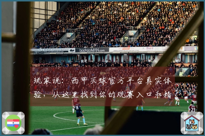 玩家说：西甲买球官方平台真实体验，从这里找到你的观赛入口和精彩赛事