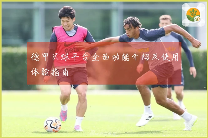 德甲买球平台全面功能介绍及使用体验指南